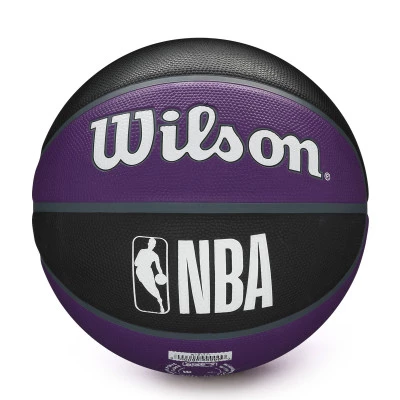 NBA Team Tribute Sacramento Kings Ball