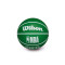 Pallone Wilson NBA Dribbler Boston Celtics