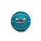 Wilson NBA Dribbler Charlotte Hornets Ball