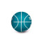 Balón Wilson NBA Dribbler Charlotte Hornets
