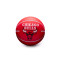 Balón Wilson NBA Dribbler Chicago Bulls