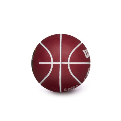 NBA Dribbler Cleveland Cavaliers Ball