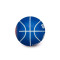 Pallone Wilson NBA Dribbler Detroit Pistons