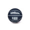 Wilson NBA Dribbler Indiana Pacers Ball