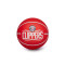 Pallone Wilson NBA Dribbler Los Angeles Clippers