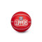 Balón Wilson NBA Dribbler Los Angeles Clippers