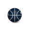 Ballon Wilson NBA Dribbler New Orleans Pelicans