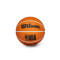 Balón Wilson NBA Dribbler Phoenix Suns