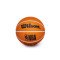Bola Wilson NBA Dribbler Phoenix Suns