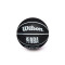 Wilson NBA Dribbler Toronto Raptors Ball