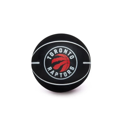 NBA Dribbler Toronto Raptors Ball