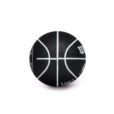 NBA Dribbler Toronto Raptors Ball
