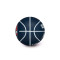 Wilson NBA Dribbler Washington Wizards Ball
