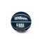 Wilson NBA Dribbler Washington Wizards Ball