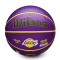 Ballon Wilson NBA Player Icon Outdoor Lebron James