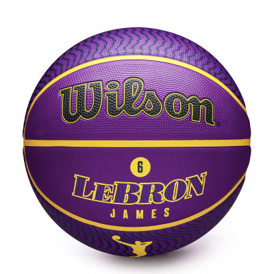 NBA Player Icon Outdoor Lebron James Ball