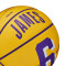 Pallone Wilson NBA Player Icon Mini Lebron James
