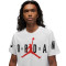 Camiseta Jordan Air Stretch Crew