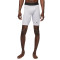 Malla corta Jordan Dri-Fit Sport Compression
