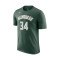 Camiseta Nike Milwaukee Bucks Essential Icon Edition Giannis Antetokounmpo