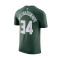 Camiseta Nike Milwaukee Bucks Essential Icon Edition Giannis Antetokounmpo