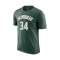 Nike Milwaukee Bucks Icon Edition Giannis Antetokounmpo T-Shirt