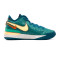 Scarpe Nike Zoom Lebron NXXT Gen