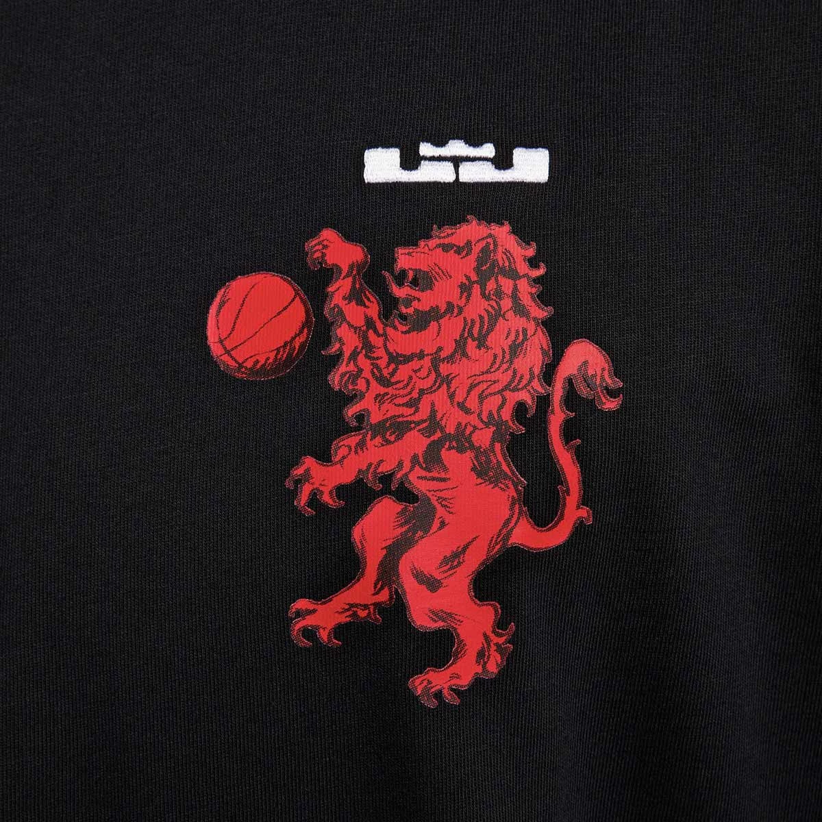 Camisetas oficiales de LeBron James - Basketball Emotion