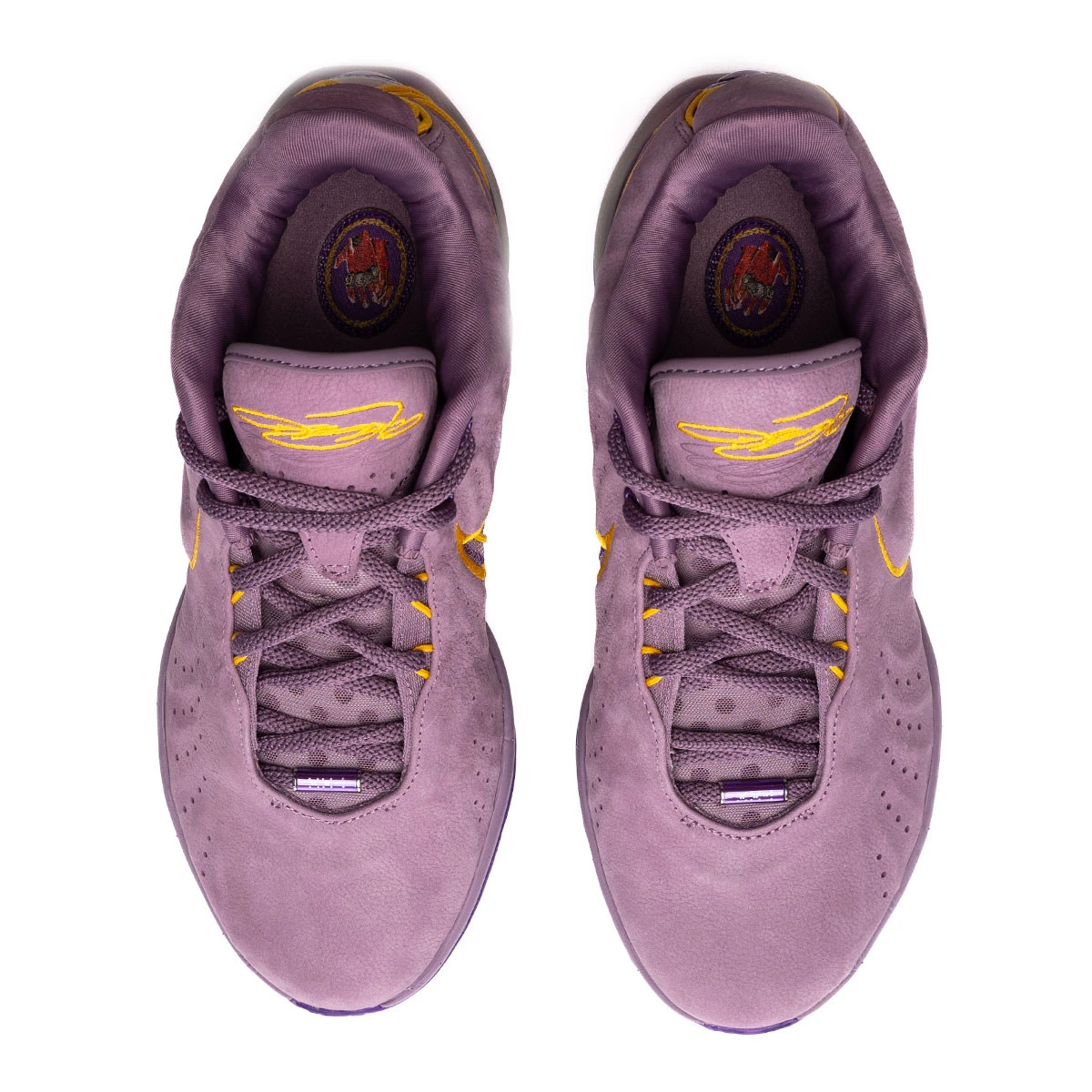 Basketball Shoes Nike Lebron 21 Freshwater Violet Dust