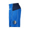 Short Nike Dallas Mavericks Swingman Icon Edition 2023-2024