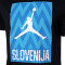 Camiseta Jordan Selección de Eslovenia Team 2023