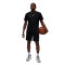 Jordan Dri-Fit Sport T-Shirt