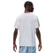 Jordan Dri-Fit Sport T-Shirt
