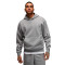 Sudadera Jordan Con Capucha Essentials Fleece