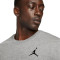 Jordan Jumpman Crew T-Shirt