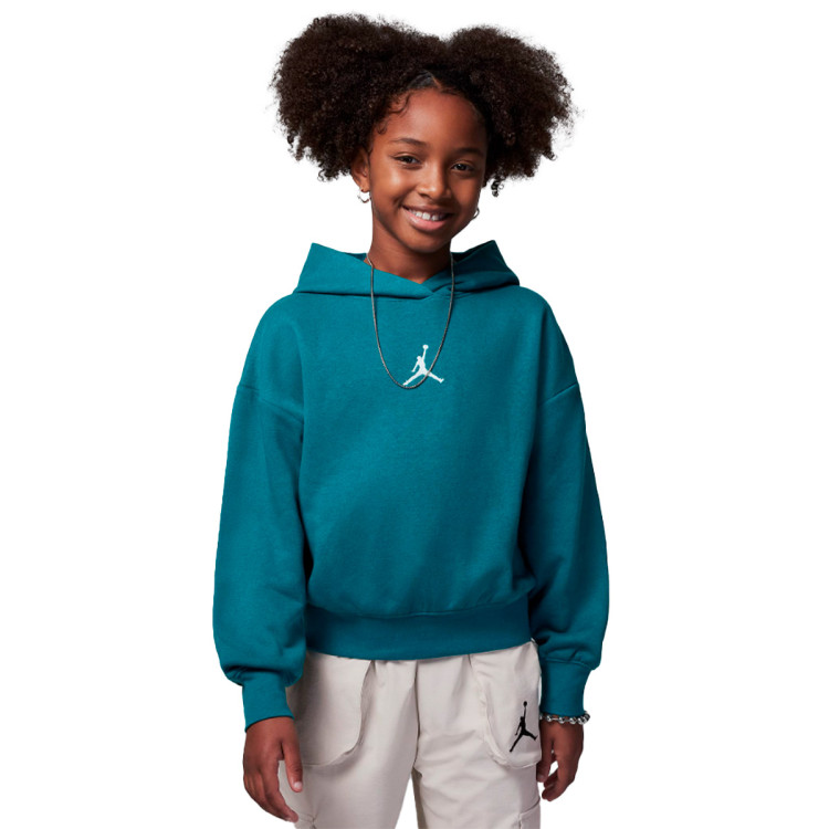Jordan icon hoodie shop