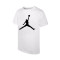 Camiseta Jordan Jumpman Dri-Fit