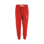 Jumpman Sustainable-Gym Red