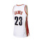 MITCHELL&NESS Swingman Jersey Cleveland Cavaliers - Lebron James 2003 Jersey