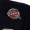 Camiseta MITCHELL&NESS NBA Hall Of Fame N&N Premium San Antonio Spurs- Tony Parker