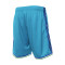 Mitchell & Ness Swingman Charlotte Hornets 1999 Shorts