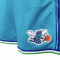 Mitchell & Ness Swingman Charlotte Hornets 1999 Shorts