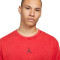 Maglia Jordan Dri-Fit Sport