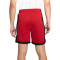 Pantaloncini Jordan Dri-Fit Sport