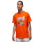 Camiseta Jordan Flight MVP Graphic