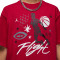 Camiseta Jordan Flight Big Logo