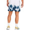 Under Armour Curry Mesh Shorts