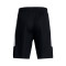 Under Armour Kids Baseline Shorts