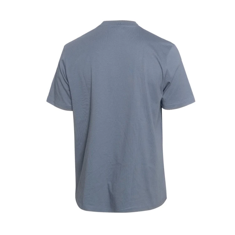 camiseta-meteora-graphic-blue-2