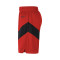 Nike Toronto Raptors Icon Edition Shorts